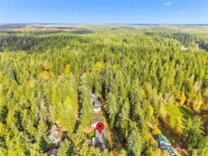 Nestled among mature trees—this home offers privacy and tranquility in Clearwood.