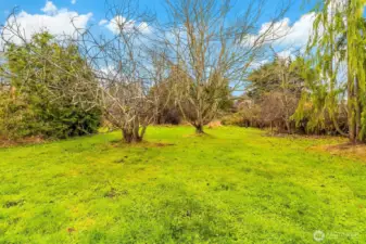 Mature landscaping and open space in a nice useable yard space out back.