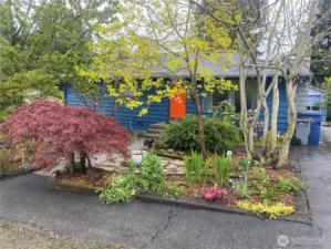 front garden blooms in the summer