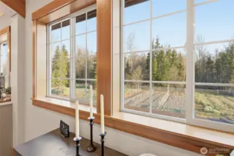 View to the paddocks from living room