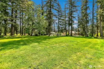 The front Yard from near the North West corner of the property at street.