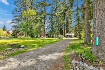Driveway to house.