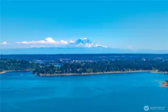 Aerial view of the neighborhood.