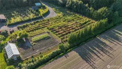 Farm-to-table living starts here, just steps from the orchard.