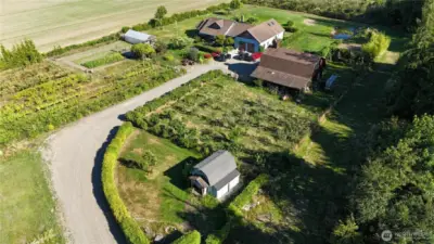 The estate from above, showcasing heritage orchards and sweeping privacy.