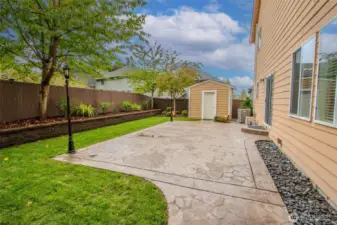 Backyard patio (shed view)