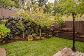 Backyard garden corner (trees & rocks)