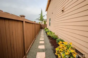 Side yard (stepping stones)