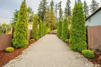 Driveway & Entry Path: