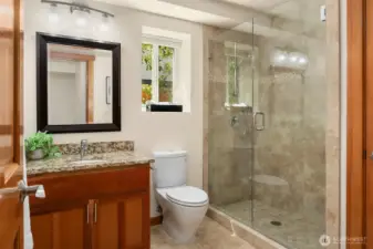 Lower level bathroom
