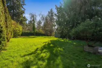 Huge back yard