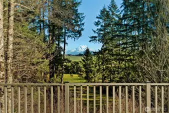 Gorgeous Mt Rainier Views!