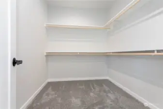 Large, walk-in closet off of the master bathroom.