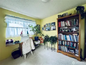 Downstairs bedroom
