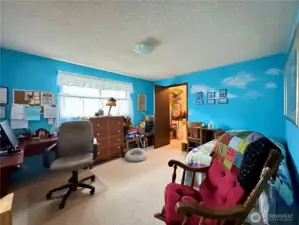 Downstairs bedroom with walk-in closet