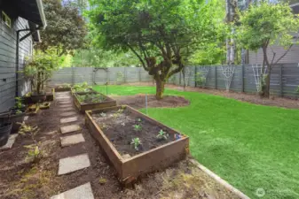 Raised garden beds and fruit trees - your own backyard bounty and a fully fenced private side yard.