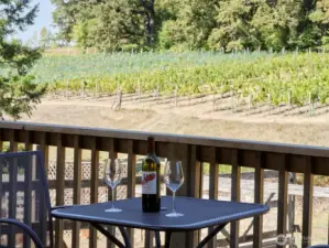 Covered Deck with view of Vineyard