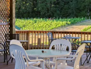 Vineyard View