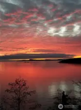 Sunset View