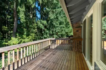 Outside views from the deck.