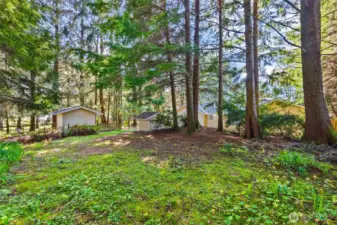 Back yard