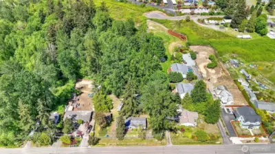 Aerial view of lot and surroundings, showcasing the lush and mature trees on site.