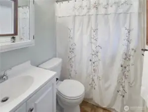 Private Bath off Primary Bedroom