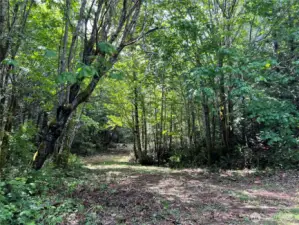 Entrance to your future homesite !