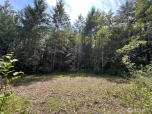 Secluded homesite in the woods !
