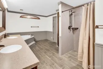 Accessible walk-in shower with dual heads and fold-down chair (not seen)