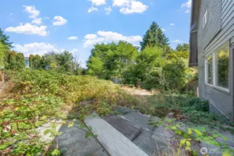 Backyard