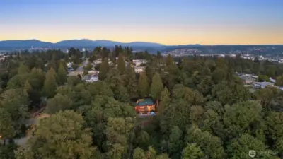Truly a private, treed oasis.