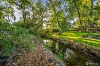 1 of 2 creeks bordering the property - Yellowhawk