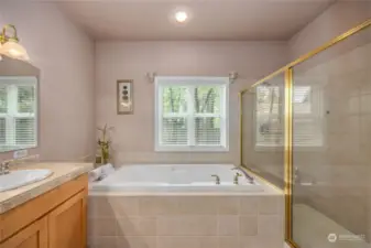 Primary bath with spa-like feel.