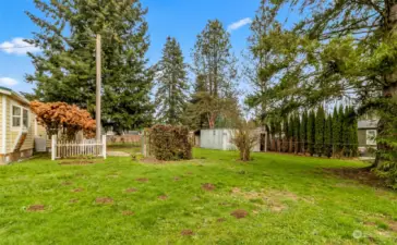 large level yard with patio and greenhouse