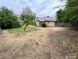 Fully Fenced back yard with shade trees and peach tree