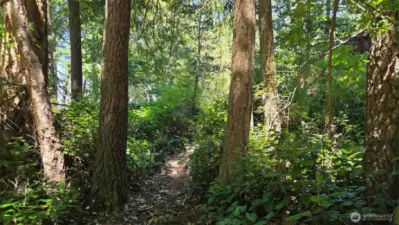 Path Along Bluff