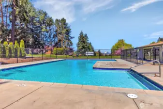 Summertime pool.