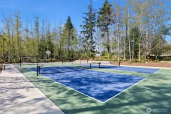 Fresh pickleball courts
