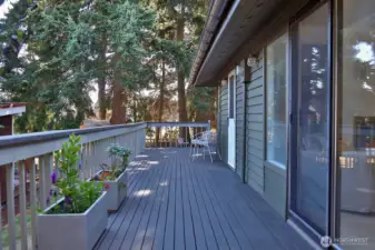 East facing deck has easy access to backyard and three doors that lead into the house.