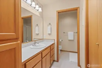 Primary bathroom with walk-in closet.
