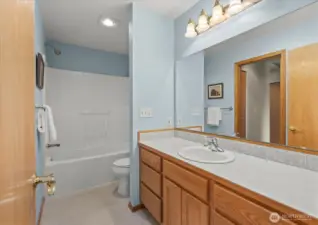 Guest bathroom