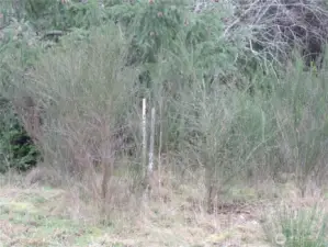 Right front corner of property