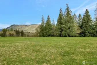 The view from the upper portion of the property