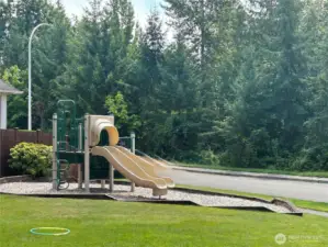 Kids play area.