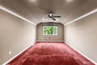 media room/theatre room.