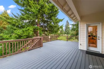 Massive trex back deck overlooking the golf course