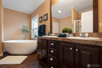 Large soaking tub and walkin shower.