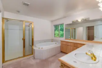 Primary Bathroom with  Separated Sink Areas, Soaking Tub, Large Shower and Big Walk In Closet