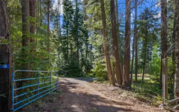 12+ acres of tranquil opportunity!